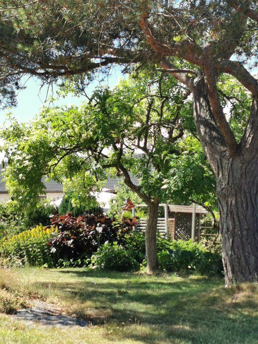 Trädgård med frodig grönska, blommor och en träaltan synlig bakom lövverket.