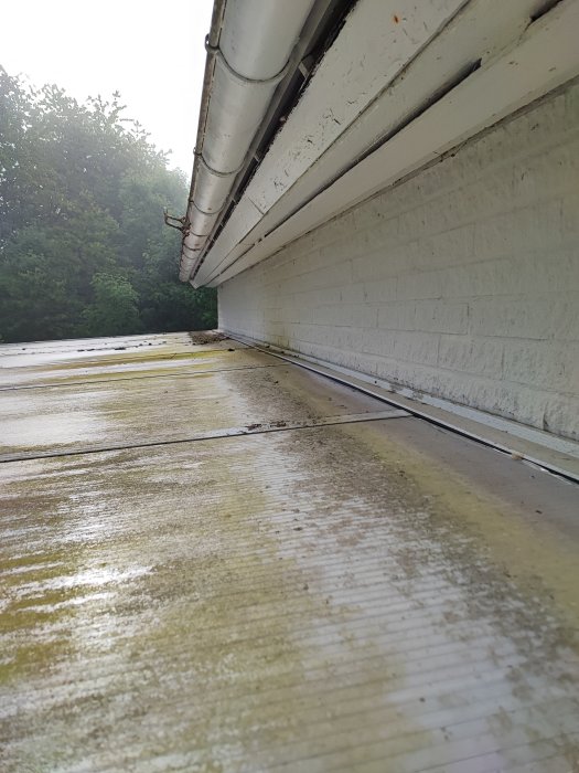 Läckage i uterum med synliga vattenpölar och defekt tätningslist vid taklutningen nära en husvägg.
