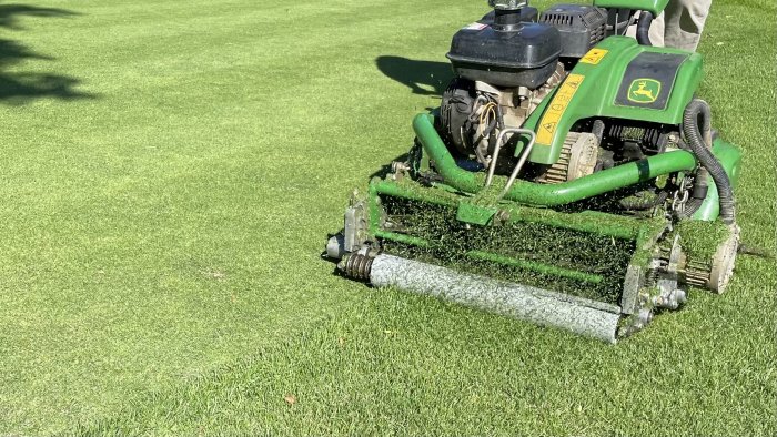 Gräsklippare med rörisolering på framrullen, klipper gräs på ungefär 12 mm, efter dressing och vertikalskärning.