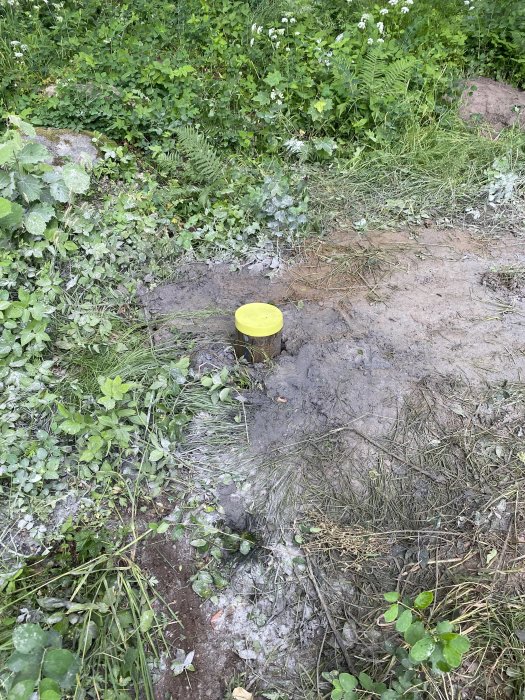 Ny borrad brunn markerad med gul lock omgiven av vegetation och våt jord.
