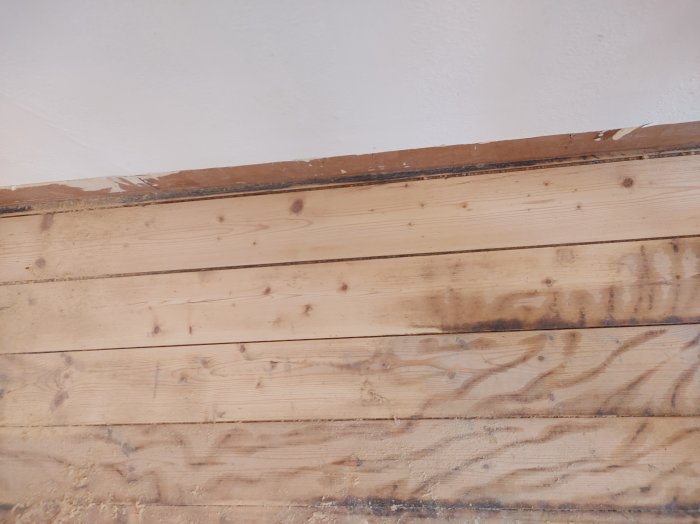 Trävägg med rester av papp och borttagna spikar under renovering.