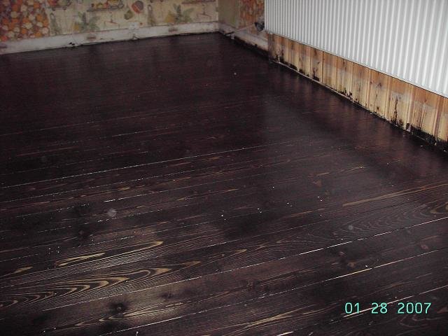 PICT0670.JPG
