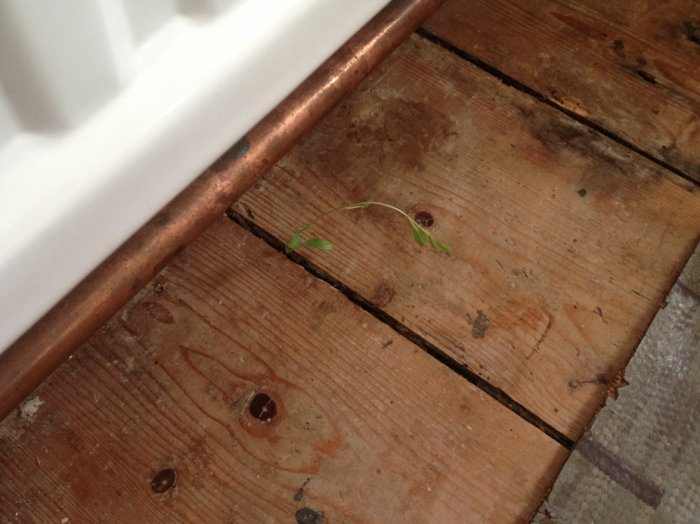 Screen Shot 2012-09-29 at 1.13.04 PM.png