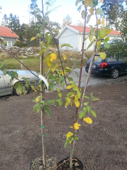 2012-10-13 11.54.50.jpg