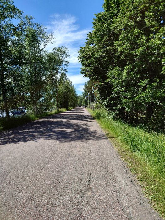 Solig landsväg omgiven av gröna träd och gräs före en väntad festlighet i Torsång.