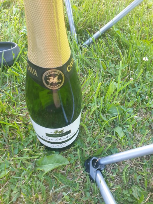 Flaska cava på gräs med del av stolben synligt, firande inför bröllop.