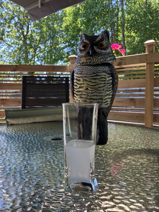 Plastuggla på utebord med glas halvfullt med mjölk, gröna träd och sittmöbler i bakgrunden.
