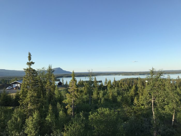 Utsikt över en sjö med gröna träd och en klarblå himmel under midsommarhelgen.