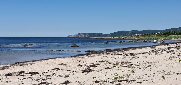 Solig stranddag med blått hav, sandstrand och personer som promenerar längs vattnet.