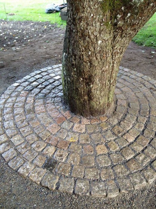 Stengång i cirkelform runt ett träd mot en bakgrund av nyplanterad jord.