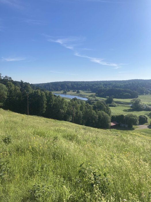 Bukolisk landskap med gröna fält, träd, en sjö i fjärran och klarblå himmel.