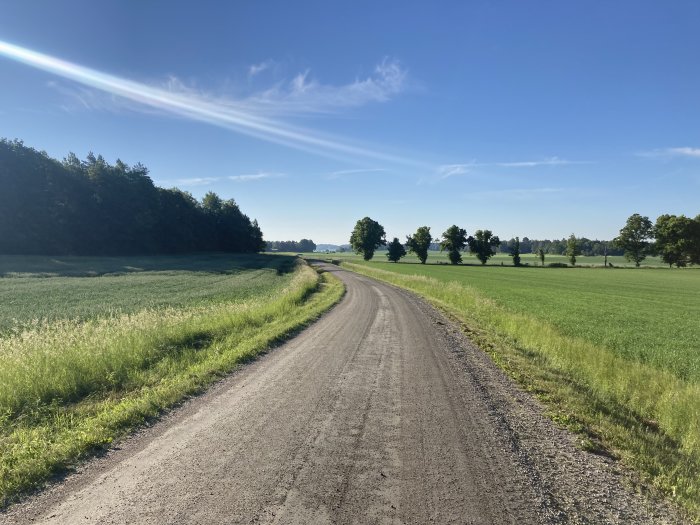 Grusväg genom gröna fält och skog med solstrålar i klarblå himmel.