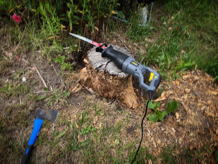 Tigersåg inkopplad i stubbe med skadad yta bredvid en yxa på gräset.