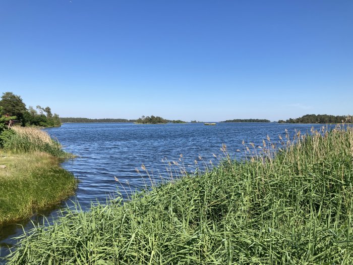 Utsikt över blåaktigt vatten omgivet av grönska under klarblå himmel i Smålands skärgård.