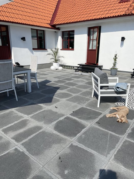 Altan med grå marksten som visar ojämna mörka fläckar, möbler och hund som solbadar.