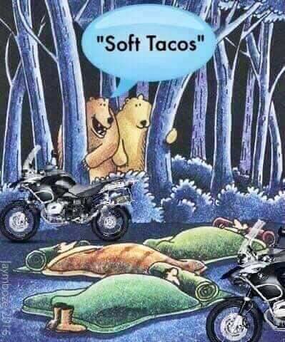 Två björnar tittar på motorcyklar och sovsäckar i skogen, textbubble med "Soft Tacos".