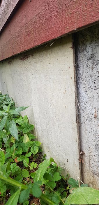 Gråa skivor som täcker sidan av en plintgrund med rödfärgad träbeklädnad ovanför, omgivet av grönska.