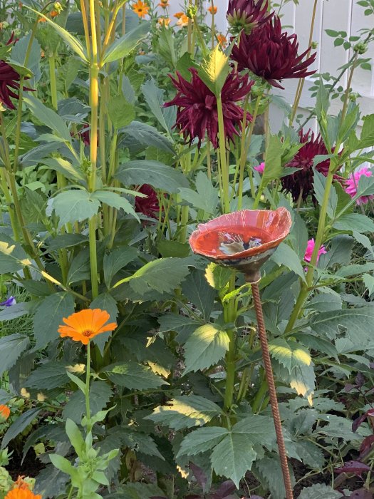 Glaserad keramikskål för insekter på armeringsjärn bland blommande växter i en trädgård.