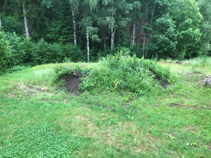 Hög med matjord blandat med småsten och ogräs på en gräsmatta med skog i bakgrunden.