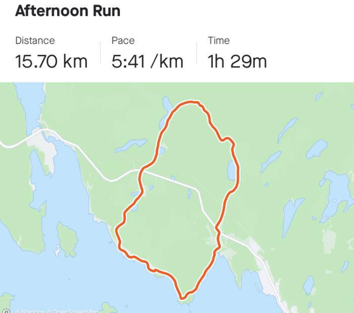 Skärmbild av en löprunda med kartspår markerat i rött, visar distansen 15.70 km, tempot 5:41/km och tiden 1h 29m.