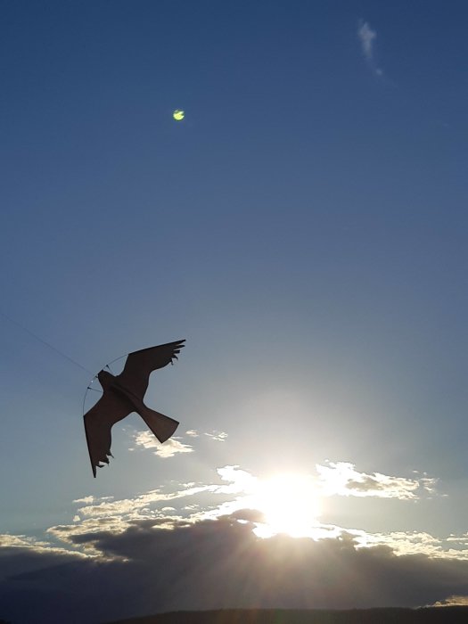 En drake formad som en rovfågel flyger i skymningen med solen som glimmar bakom molnen.