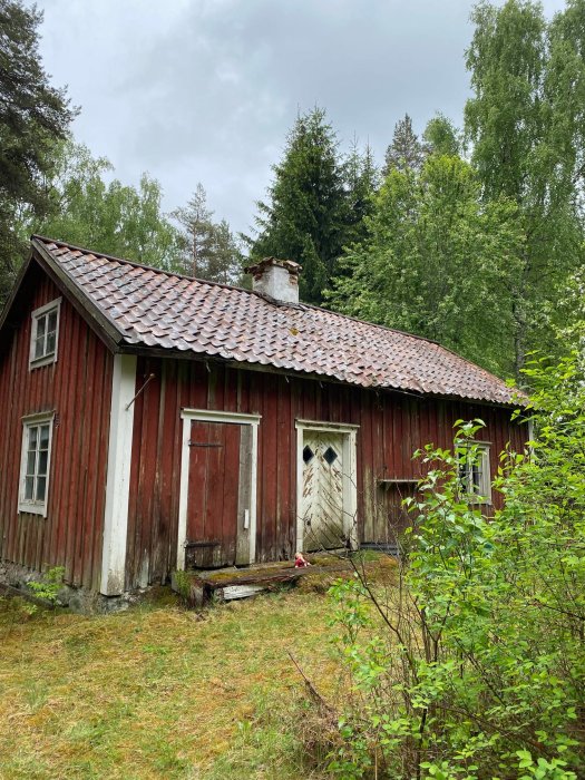 Ett rött torp med slitet tegeltak och trasiga fönster omgivet av grönska i behov av renovering.