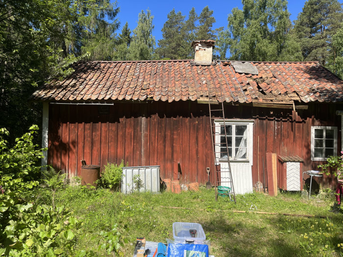 Ett gammalt rött torp med slitet tak och skadad skorsten omgivet av grönska.