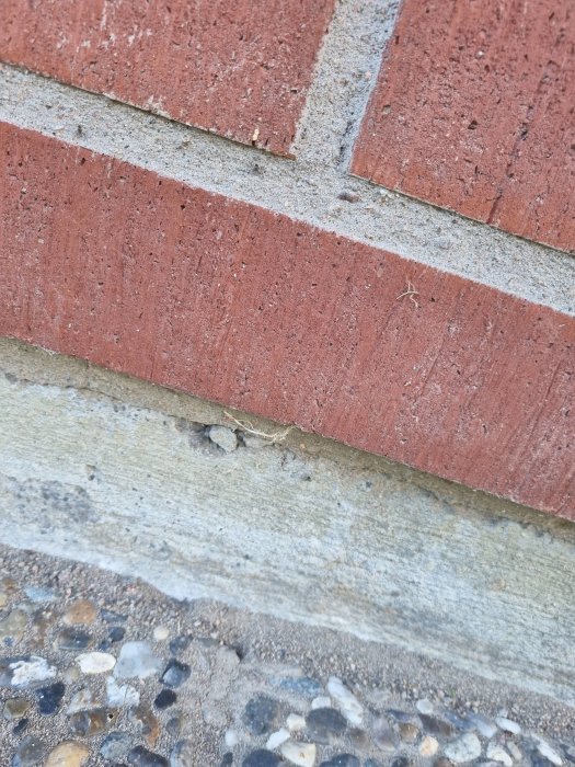 20220705_193629.jpg