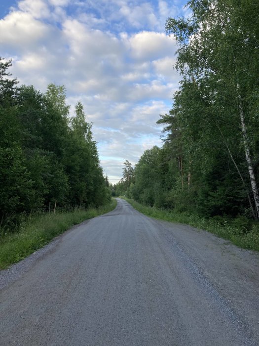 Grusväg omgiven av gröna träd och buskar under en molnig himmel.