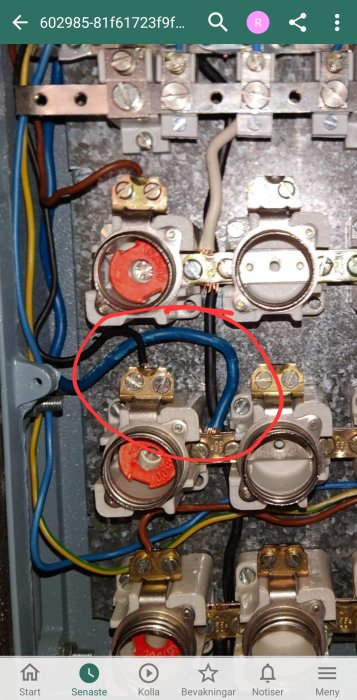 Närbild av ett öppet elektriskt skåp med kablar, markerad blå kabel ansluten till L2 på en brytare.