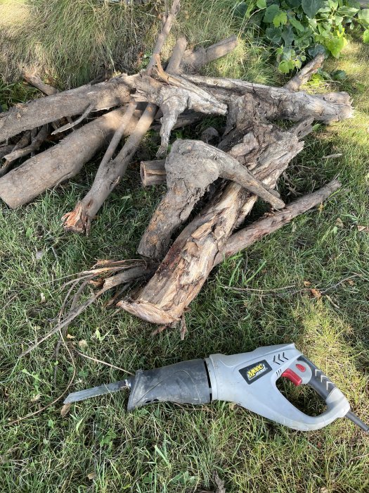 En hög med gamla upprötade trädgrenar och en elektrisk rotkapare på gräset.