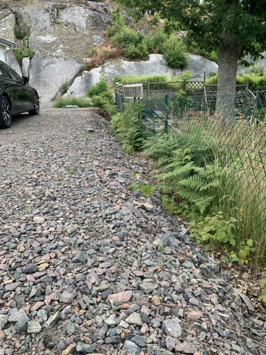 Slänt med ormbunkar bredvid grusparkering och grannens staket, potentiell plats för stödmur.