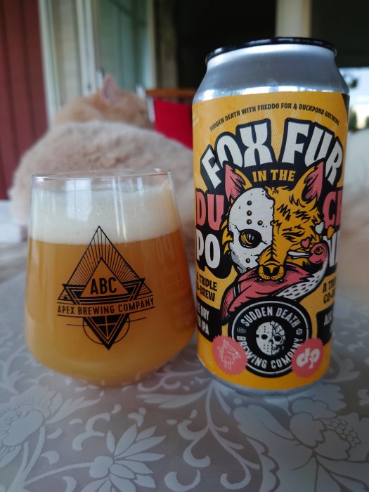 Ölglas med Apex Brewing Company-logotyp och en burk öl märkt Fjäder i Dammet, bakgrund med en sovande katt.