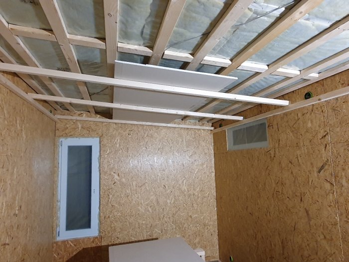 Inre hörn av en friggebod under konstruktion med oskyddade takstolar och reglar fästa vid väggar av OSB-skivor.