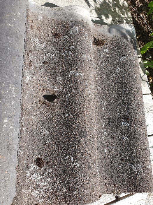 Sliten takpanna täckt med mossa och smuts med flera synliga hål, placerad på ljus underlag.