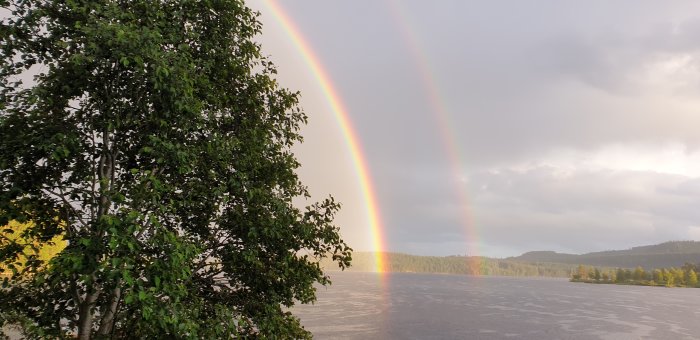 Dubbel regnbåge över en sjö med träd i förgrunden och skogklädda kullar i bakgrunden.