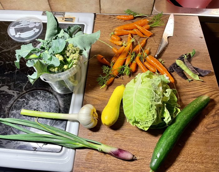 Färsk grönsaksskörd på köksbänk, inklusive morötter, broccoli, gurka, vitkål, squash och purjolök.