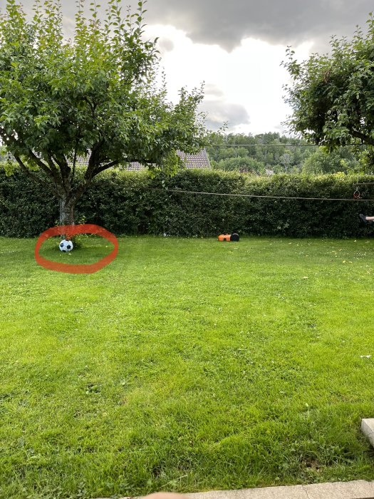 Trädgård med träd och markerad kabel på marken med röd cirkel som avgränsning.