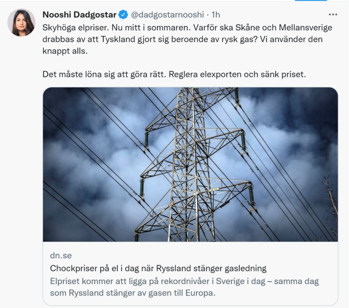 Elledningar och torn mot en dramatisk himmel som symboliserar energiförsörjningsfrågor.