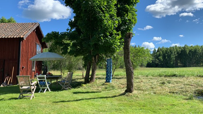 Lantlig miljö med nyslaget gräs, träd, en klädd torkställning, stolar och ett parasoll framför en röd stuga.