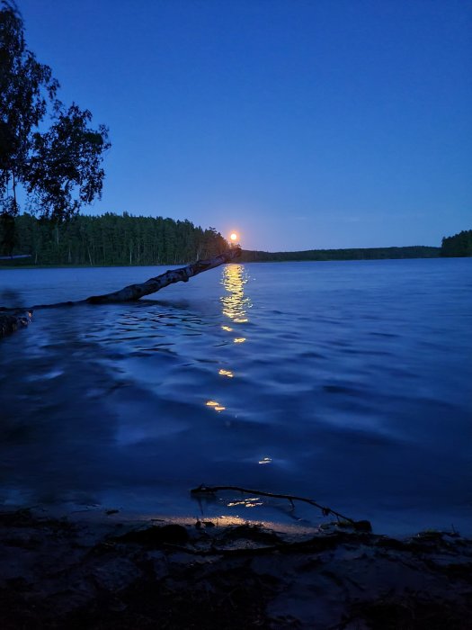 Solnedgång över en sjö med silhuetter av träd och ljusreflektioner på vattnets yta.