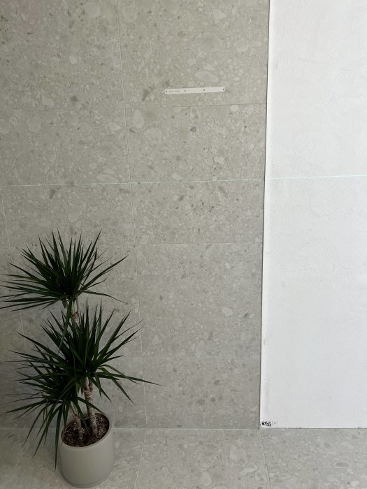 Vägg i badrum med ljusa kakelplattor och en monterad handdukshängare, intill en grön växt i vit kruka.