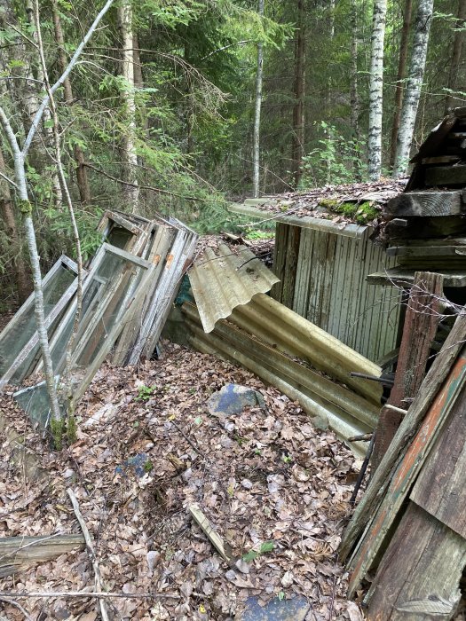 Övergivet skräp och gammalt byggmaterial i skogsmiljö, såsom fönsterramar och plåtar