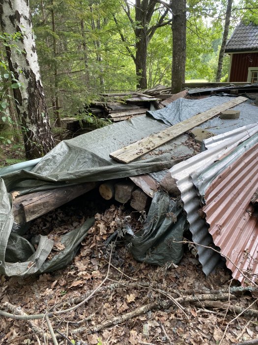 Röran av gamla trädgårdsplank och byggmaterial hopade på en skogstomt.