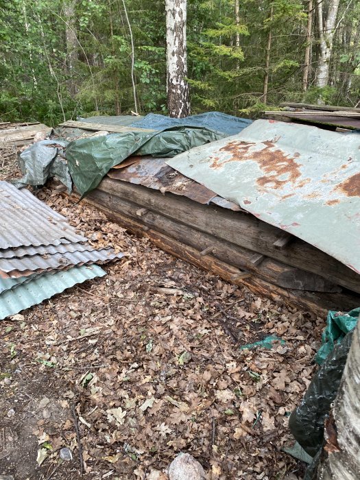 Gamla trästockar och rostiga plåttak täckta med en presenning i en skogsmiljö.