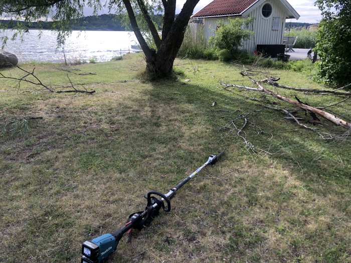 En sänksåg på gräsmark med nedskurna grenar framför ett hus nära vatten.