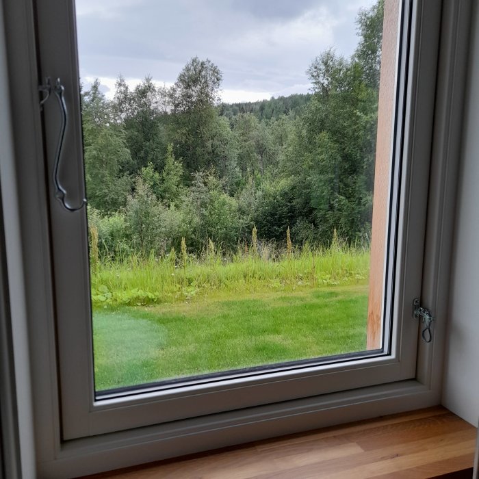 Nytillverkat träfönster med treglasruta och synlig ekram, öppet mot en lummig grön utsikt.