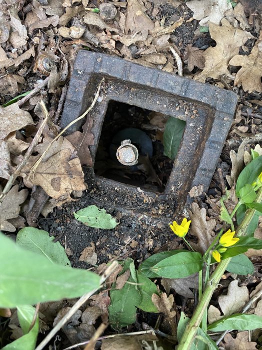 Gammal vattenventil i marken med locket öppet, omgiven av löv och små växter.