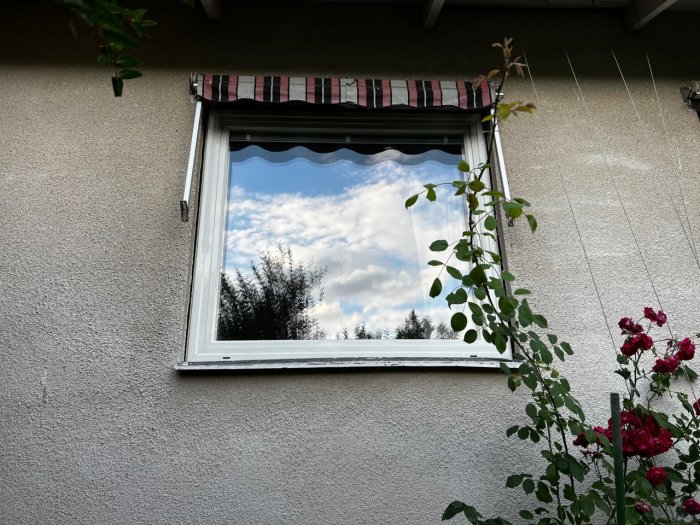 Nymonterat fönster på putsad väggfasad under en markis med himmel speglad och växter i förgrunden.