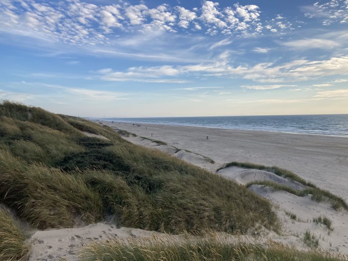 Kustvy med sanddyner täckta av gräs med en bred strand och havet i bakgrunden under en molnig himmel.